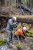 Stream Ecology Spring 2024