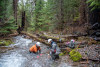 Stream Ecology Spring 2024