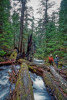 Stream Ecology Spring 2024