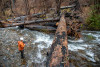 Stream Ecology Spring 2024