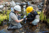 Stream Ecology Spring 2024