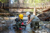 Stream Ecology Spring 2024