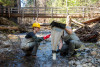 Stream Ecology Spring 2024