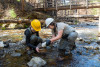 Stream Ecology Spring 2024