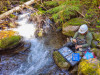 Stream Ecology Spring 2024