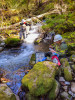 Stream Ecology Spring 2024
