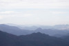 Andrews Landscape