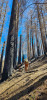 Burned area